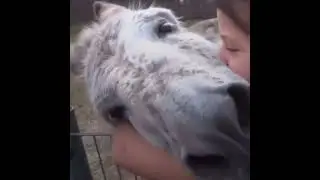 All need Love