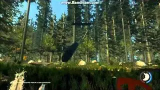 The Forest Lets Play Episode 2 Poison Berries !
