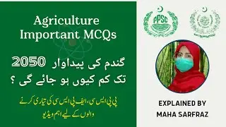 Wheat and Rice important Mcqs | Seed Certification | Interview prep | AO prep | #wheat #rice