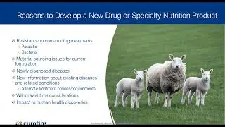 Navigating the Development Process for Animal Veterinary Products