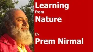 Learning from Nature | Mother Nature | Secrets of Abundance