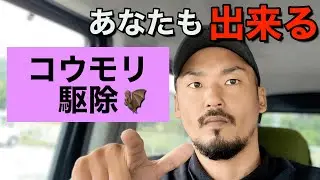 【コウモリ駆除】あなたも出来る対策方法はまだありました！