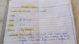 EVs lesson plan/ science lesson plan/ my body
