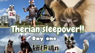 Therian sleepover day one with @Mistys_forest