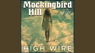 High Wire (feat. B'ee)