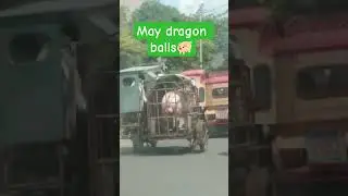 Boar service