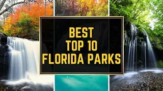 Best Top 10 Florida State Parks #floridaparkexplorers #floridanature