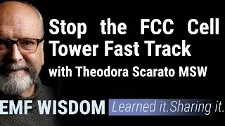 Stop the FCC Cell Tower Fast Track