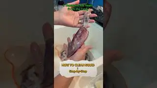 Learn how to clean squid with this easy-to-follow tutorial #GuideForBeginners #shorts #shortvideo