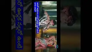 podampaye manchirala angado