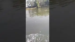 kapila river
