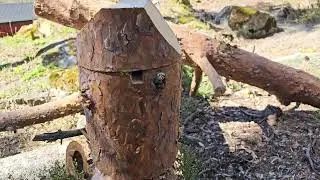 BIRDHOUSE BIRD BOX 🐦  OUT OF A LOG WITH CHAINSAW