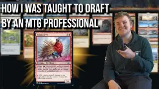 How I was taught to Draft by an MTG Professional