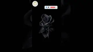 instagram reels ringtone instagram ringtone King ringtone #reel #instagram  joker status