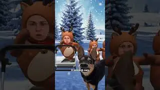 DINGO BELL - O HIT DE NATAL DO ZORRO! parte 3