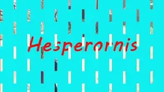 How to tame a Hesperornis