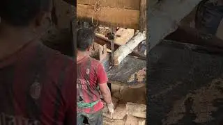 Discover the Precision Techniques of Expert Sawmill Operators from Log to Lumber