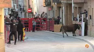 Tv Marcilla - 21/04/2024 - Juventud - Encierrillo calle Nueva.