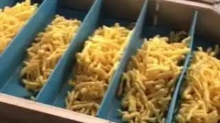 PPM Technologies--Complete Rotary Snack Frying System