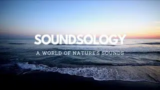 8 Hours of Gentle Ocean Waves With Stunning Sunrise(Relaxing Sound For Sleep,Studying & Meditation)