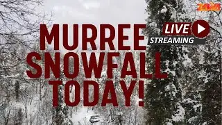 Beautiful Murree Snowfall ❄️ | Winter Wonderland of Pakistan | 4K