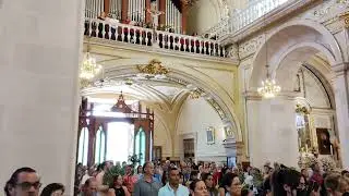 Cantos gregorianos (Catedral de Aguascalientes) ~ Hijo de David