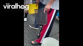 Odd Choice For Water Collection || ViralHog