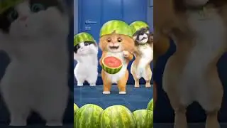 Dudi dudi dam dam #kidsvideo#kidchannel#kids#cartoon#poems#babyvideos#babygirl#babyshorts#viralvideo