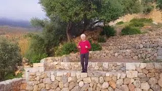 An ass steps down by Neil Pilkington