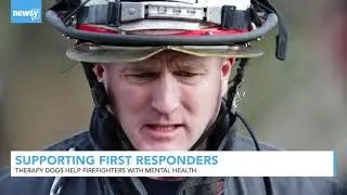 Therapy Dogs Helping Firefighters With Their Mental Health