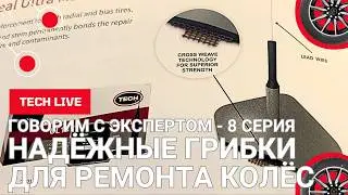 Грибки с перекрестно-волновым кордом в шляпке. Главные отличия и преимущества. Поговорим с экспертом