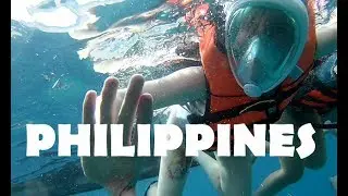 Travel VLOG. Philippines, Cebu | Филиппины, остров Себу, китовые акулы