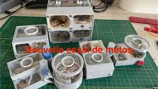 Essaie de matos AliExpress  (Antkeeper )