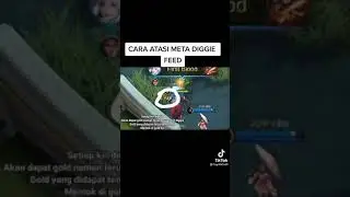 CARA COUNTER META DIGGIE FEEDER