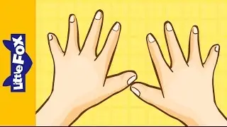 Hands | Learning Song | By Little Fox