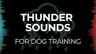 Thunderstorm Sounds for Dogs | Calm Anxiety & Desensitization Training