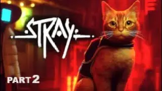 Meeting Momo in the Slums | Stray - Part 2