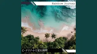 Dreamy Shoreline Stroll
