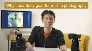 Why I use Sony gear for wildlife photography but what about the Canon EOS R5?