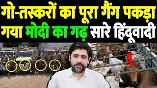 गो-तस्करों का पूरा गैंग पकड़ा गया, मोदी का गढ़, सारे हिंदूवादी | cow smuggling in Varanasi