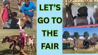 Common Ground Fair- animals, crafts, and being a bold Christian witness