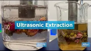 Ultrasonic Extraction