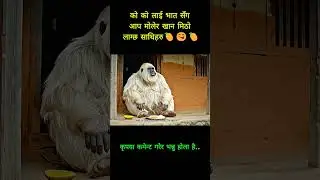 Nepaliai#yetiainepalivlog #NepaliAI #ChatGPTNepali #NepaliAIVideo #AINepal #AIinNepali #MadeWithAI