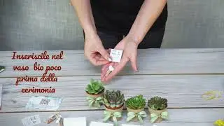 Come preparare le piantine che hai ricevuto per le tue bomboniere?