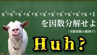 【猫ミーム】因数分解をする猫