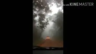 Menembus Kabut modal google maps : Dieng via Batang (Bandar).. Dieng - Semarang  kurang dari 3 Jam