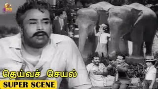 Elephant Seeking Help to Save Sundarrajan's life - Deiva Cheyal | Muthuraman | Ramadas | IFB