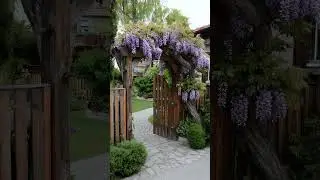 35 Dreamy Cottage Garden Ideas For Timeless Charm