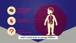 Lead Safe Virginia: Protect your family