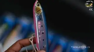 Shimano ColtSniper GranoDive Flash Boost stick bait out now at tackletips.in